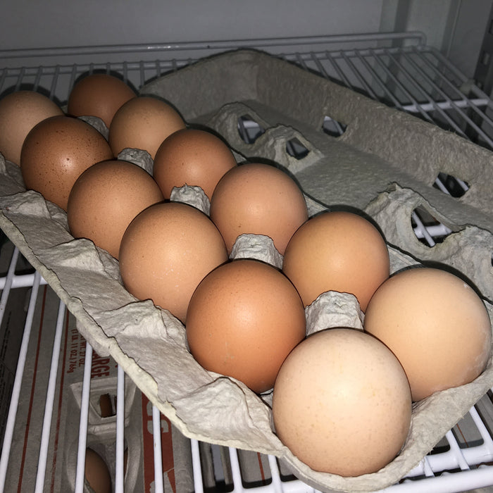 Farm Fresh Eggs 1-Dozen