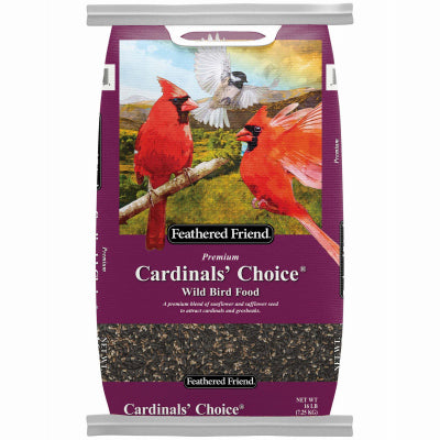 Feathered Friend Cardinals' Choice