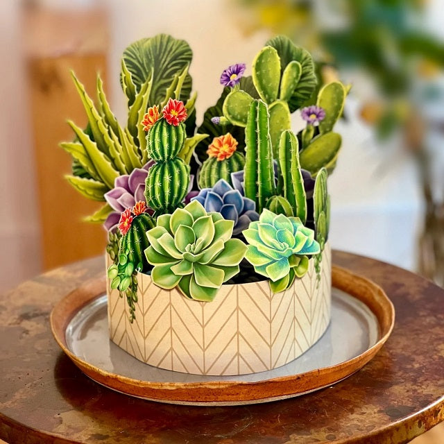 https://ellingtonagway.com/cdn/shop/products/freshcut-paper-3d-flower-bouquet-cactus-garden-2_640x640.jpg?v=1677784887