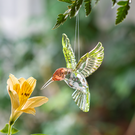 Crystal Expressions 4" Red Throated Hummingbird Ornament