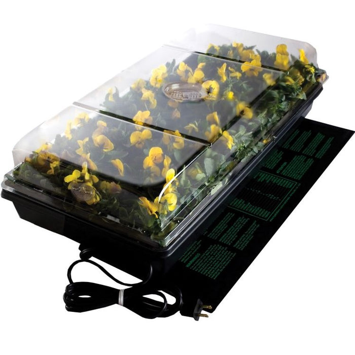 Germination Station with Heat Mat