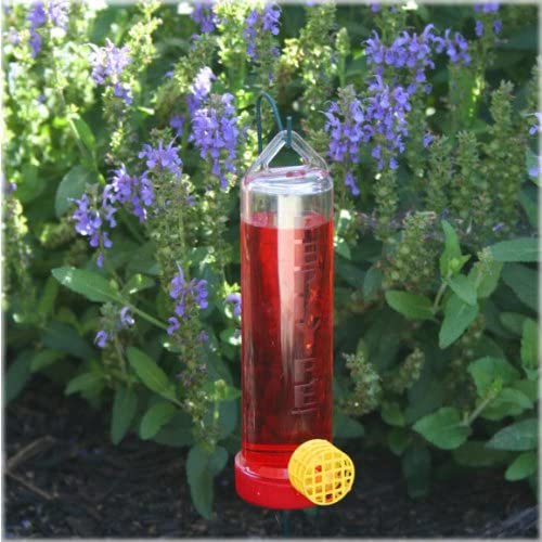 hanging planter hummingbird feeder Perky-Pet Hummingbird Planter Feeder