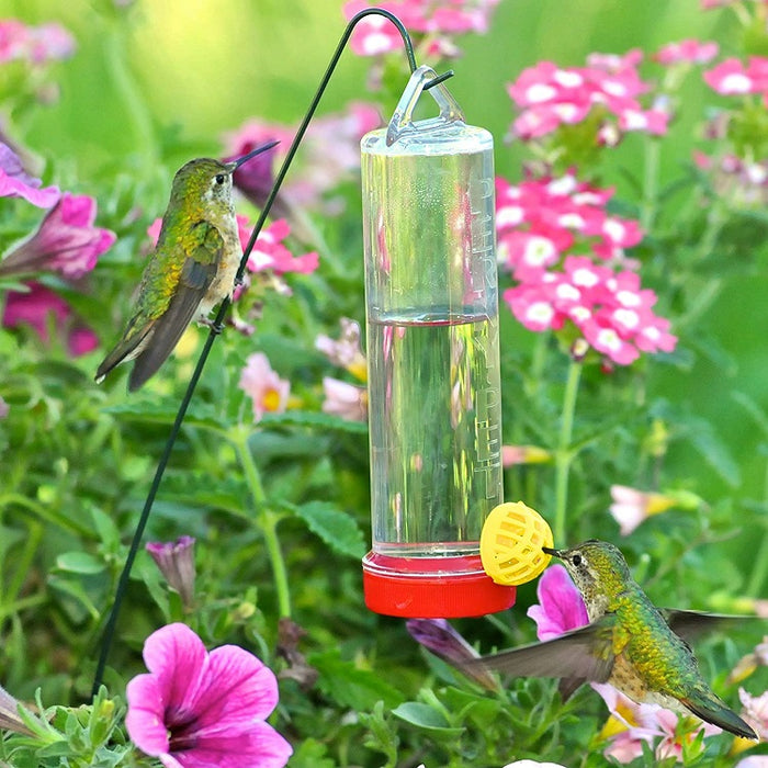 Hummingbird Feeder for Hanging Basket, Perky Pet 215P