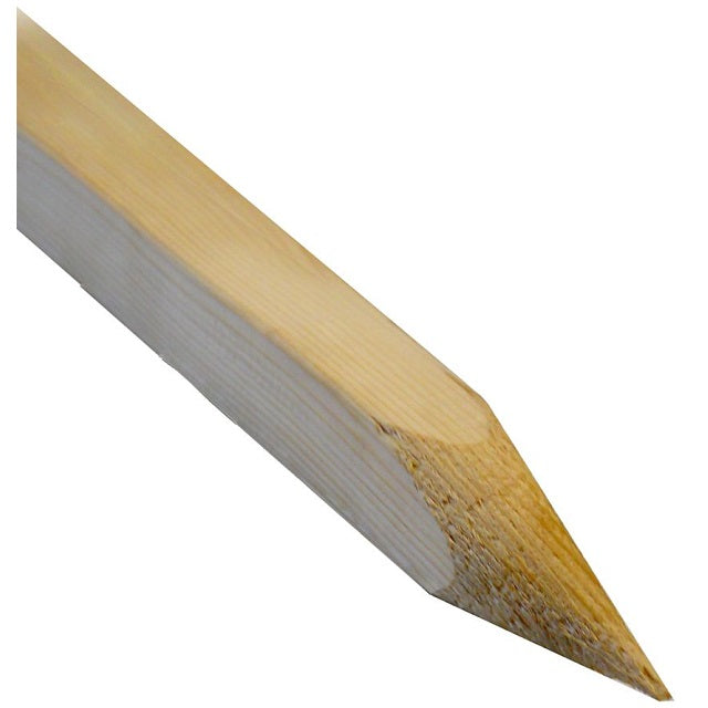 Image Parlant de Stake