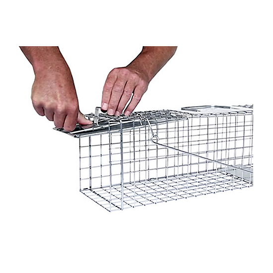 Havahart® Medium 1-Door Trap