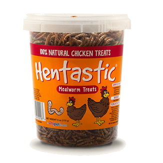 Hentastic Dried Mealworm Chicken Treat, 6 oz. Tub