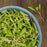 High Mowing Organic Seeds Green Chard Microgreens 2oz