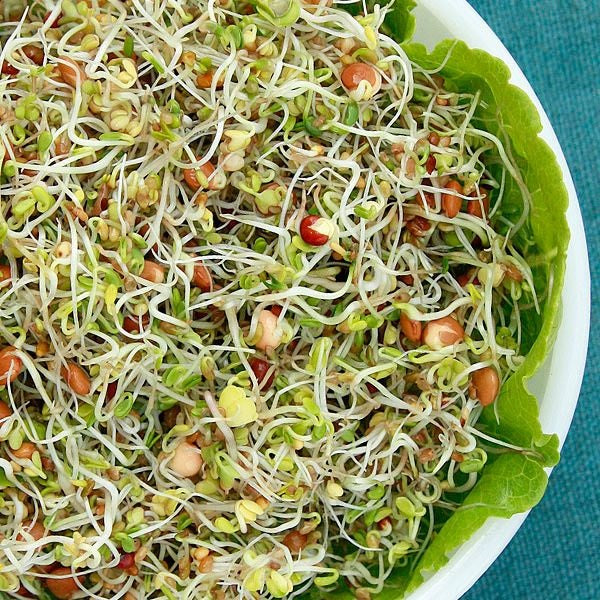 High Mowing Organic Spicy Salad Mix Sprouting Seeds 4oz