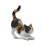 CollectA Calico House Cat