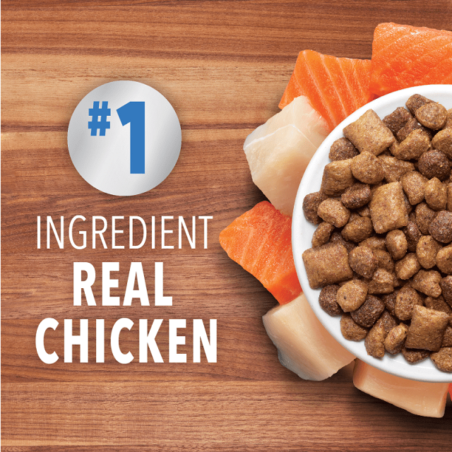 Iams Proactive Healthy Healthy Enjoyment Chicken & Salmon Recipe Cat Food 3-lbs.