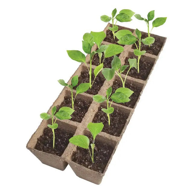 jiffy 50-plant seed starter kit Jiffy Greenhouse with Peat Strips