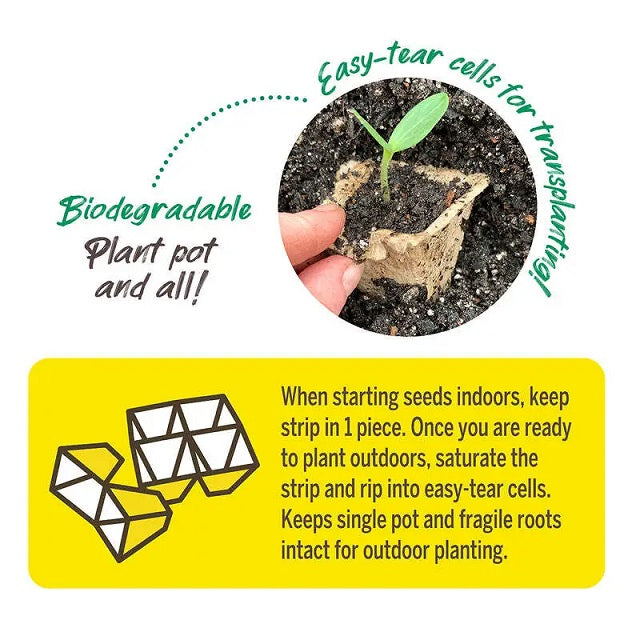 planting seeds in jiffy greenhouse Jiffy Greenhouse with Peat Strips