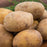 Kennebec Seed Potatoes, 5-Lbs.