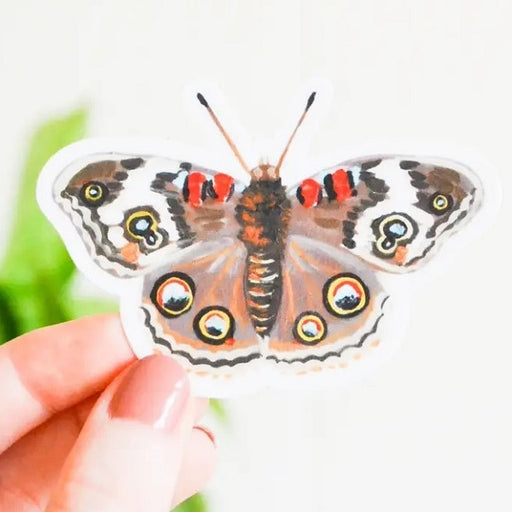 Watercolor Buckeye Butterfly Sticker