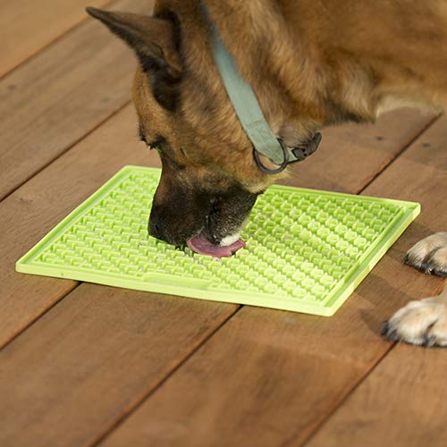 Lickimat® Buddy™ for Dogs