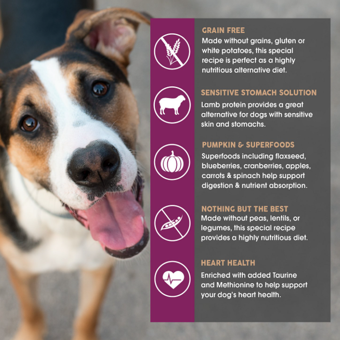 Grain free dog food without pea protein online