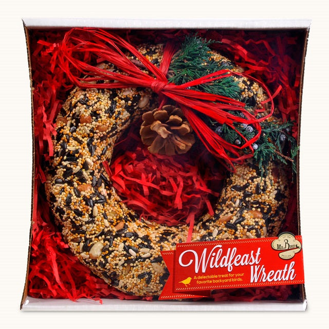Mr. Bird 9-inch Wildfeast Seed Wreath