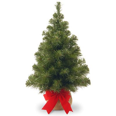 Noble Fir 2ft Pre-Lit Artificial Tree in Burlap Bag