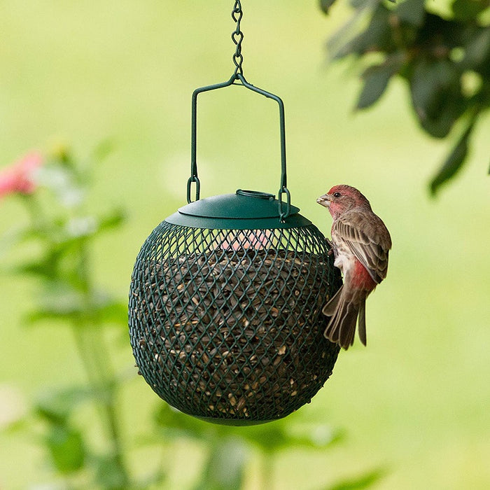 Perky-Pet Wild Bird Feeder Cardinal Red / C00322 - Foto 5
