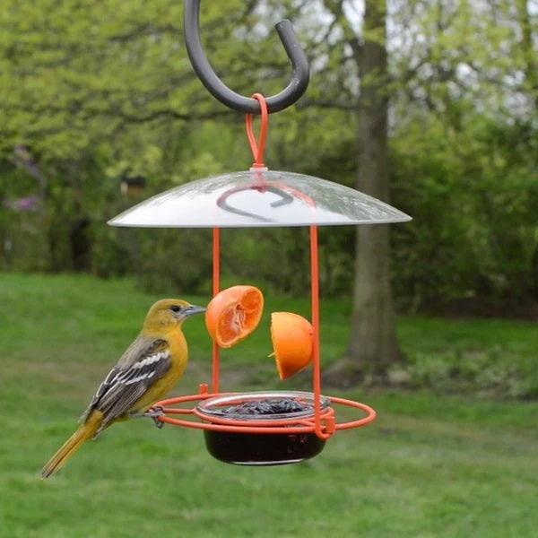 Nature's Way® Wire Oriole Feeder