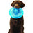 Orka Flyer Disc Dog Toy