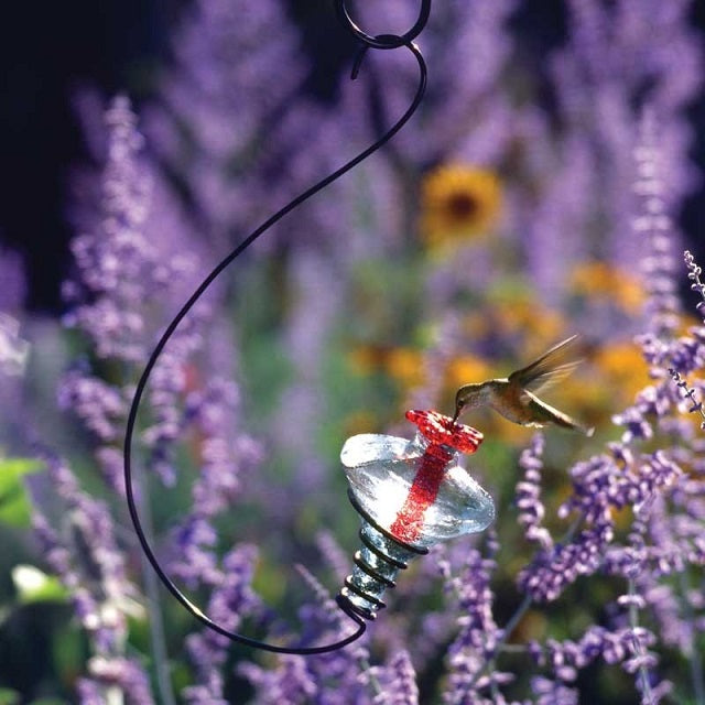 hanging planter hummingbird feeder Mini-Blossom Hanging Hummingbird Feeder, Assorted Colors — Ellington Agway