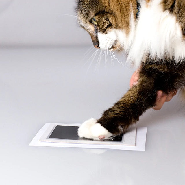 Pearhead Pet Pawprints Clean-Touch Ink Pad
