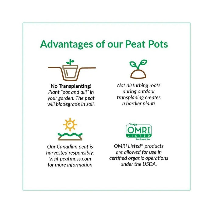 can peat pots be planted Jiffy 4" Round Biodegradable Peat Pots, 6 Pack — Ellington Agway