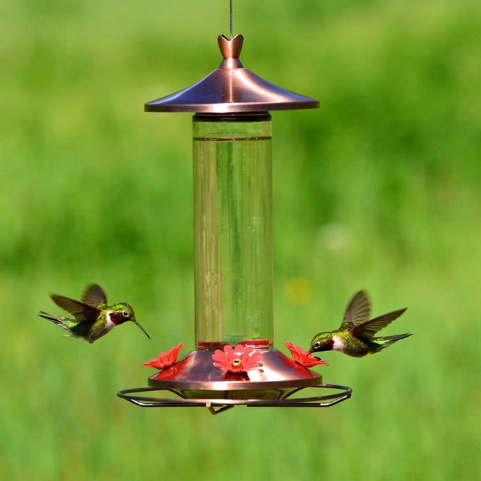 Elegant Copper & Glass Hummingbird Feeder, Perky Pet