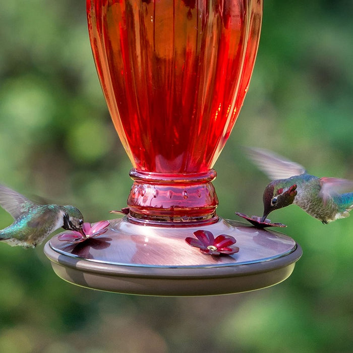 Perky Pet Vintage Daisy Vase Hummingbird Feeder #8133-2