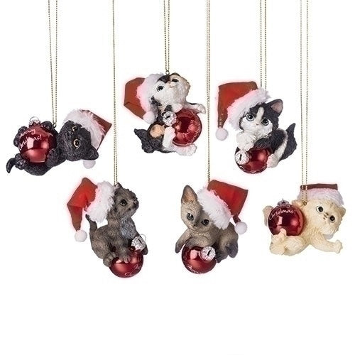 Santa Hat Cat Ornament, Assorted