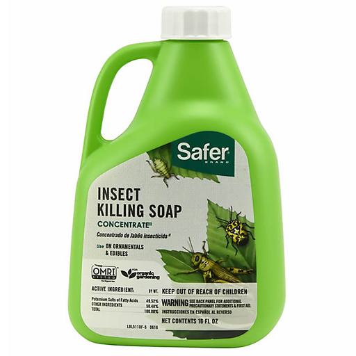 bonide insecticidal soap concentrate Safer Insect Killing Soap Concentrate 16 oz