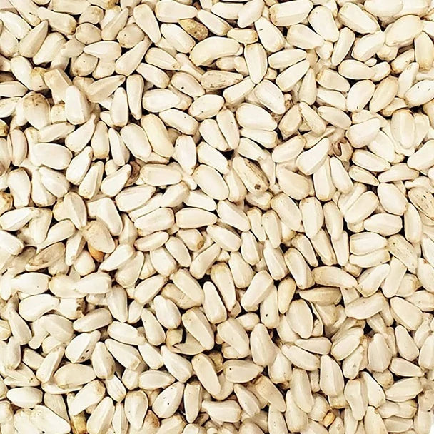 plant safflower seeds Safflower Seed