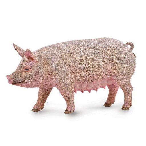 CollectA Pig, Sow