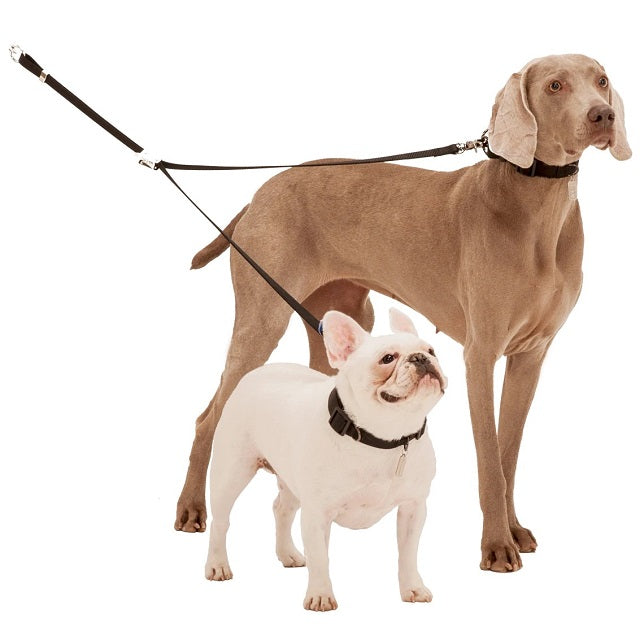 Sporn Double-Dog Coupler, Standard Size