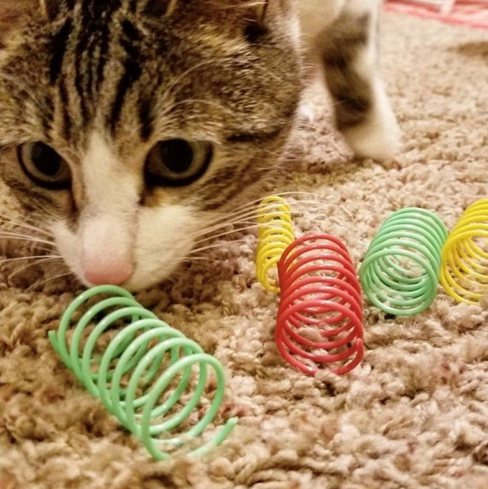 Ethical Pet SPOT Colorful Springs Wide Cat Toy 10-Pack