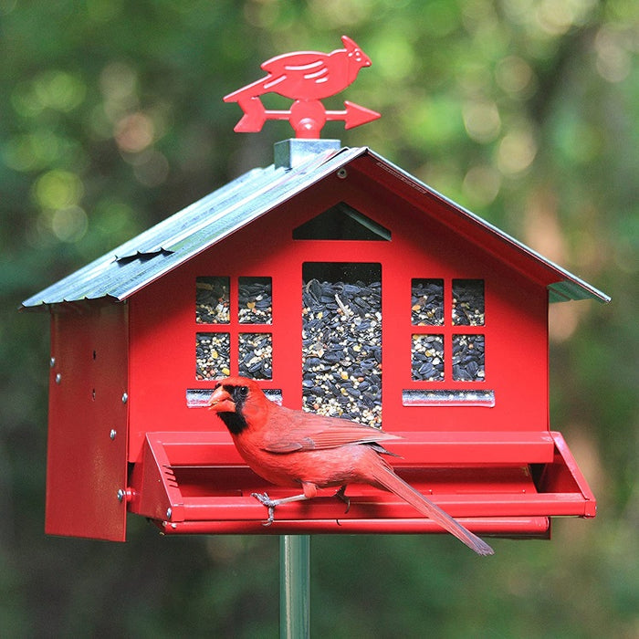 Squirrel-Be-Gone II Country-Style Bird Feeder 338