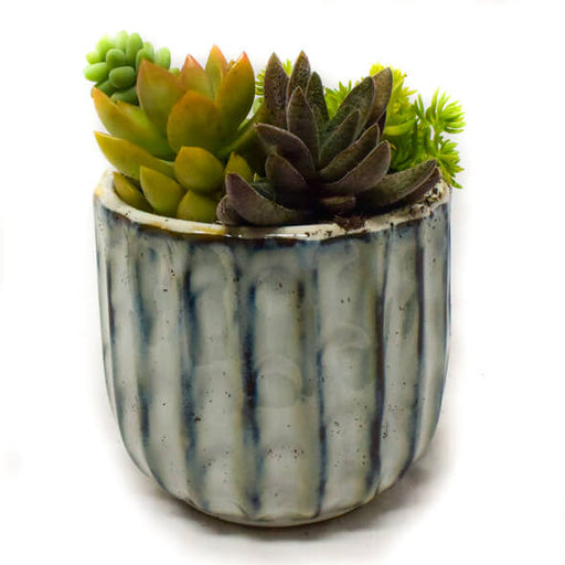 Succulent Combo Planter, 3.5" Ribbed Glaze