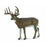 CollectA White-Tailed Deer